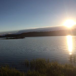 Meet your Posher, Ella